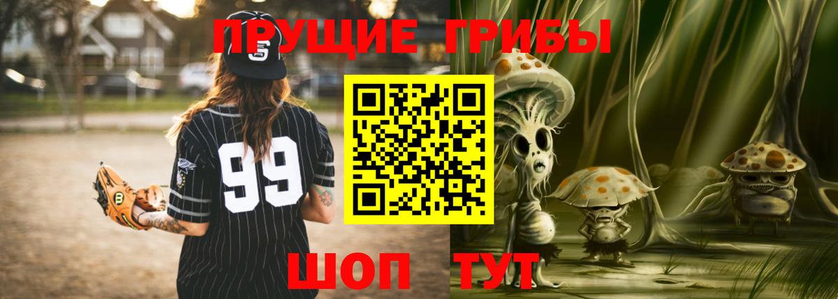 купить наркотик  Вход с VPN  Морозовск  Галлюциногенные грибы Psilocybe  Псилоцибиновые грибы ЛСД 